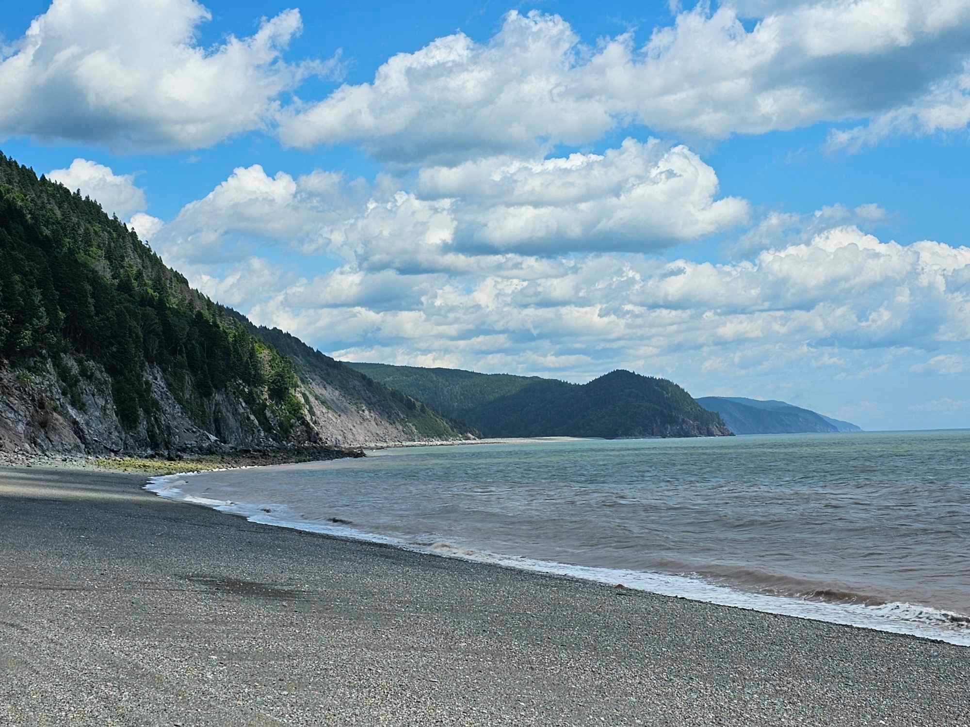 Proudly made in New Brunswick 
Savour NB 
Food and Beverage Atlantic 